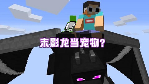 迷你世界怎么骑末影龙[图1]