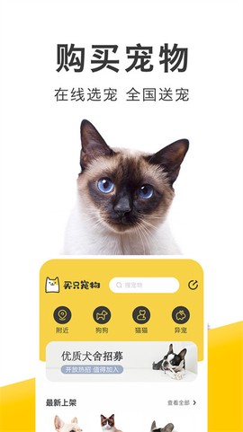 买只宠物[图1]