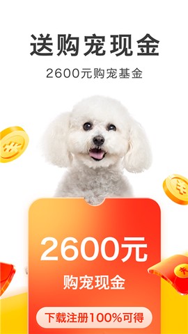 买只宠物截图1