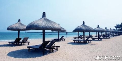 金湾融媒[图3]