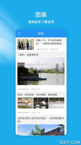 金湾融媒截图3