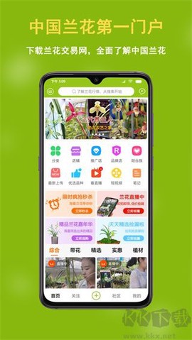 兰花交易网[图1]