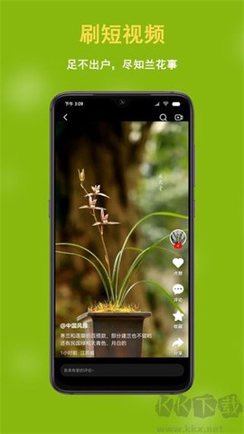 兰花交易网截图3