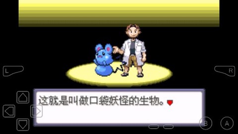 口袋妖怪：命运红宝石2截图3