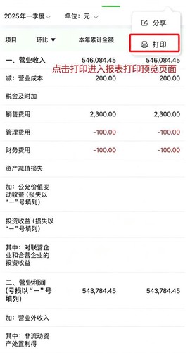 柠檬云财务[图5]
