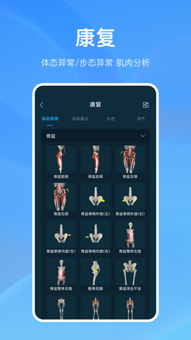 解剖大师截图2
