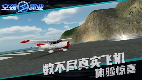 空袭霸业截图1