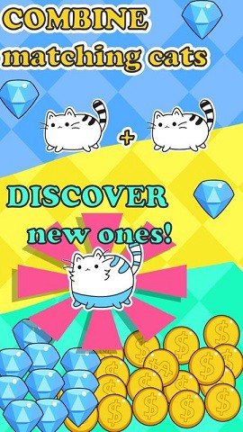 等一只猫咪截图3