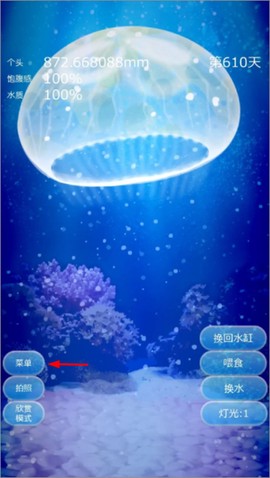 养育水母的治愈游戏[图4]