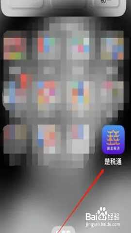 楚税通纯净版[图1]