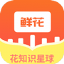 鲜花知识星球
