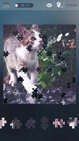 益智拼图世界截图2