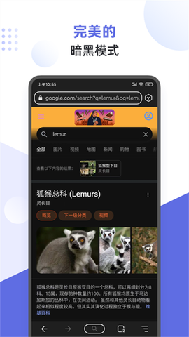 狐猴浏览器图2