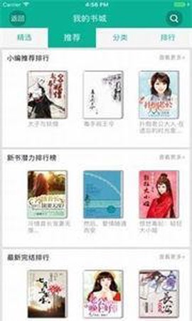 爱爱小说免费版截图3