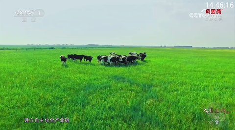 你的电视[图1]