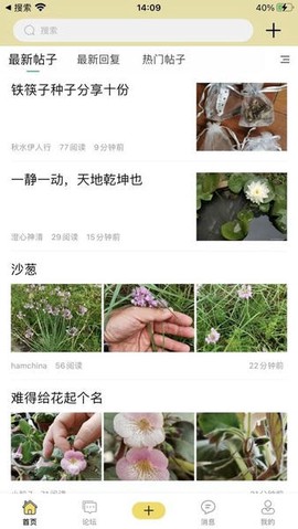 踏花行[图2]