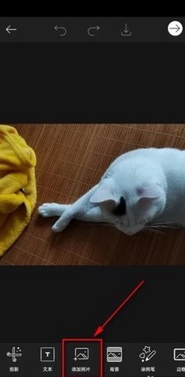 Picsart[图10]