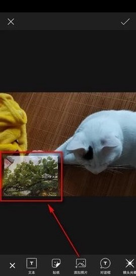 Picsart[图14]