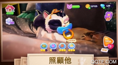 我的可爱猫咪[图1]