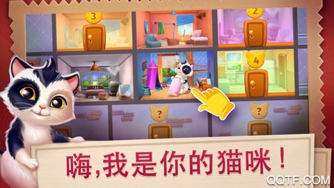 我的可爱猫咪截图2