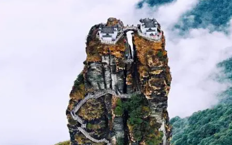 花影相机截图1