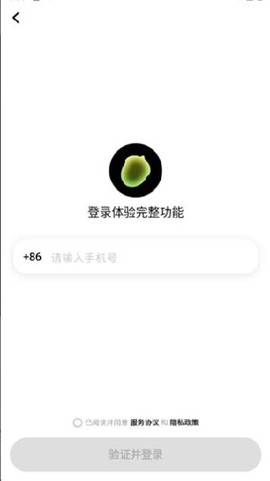 松果时刻[图4]