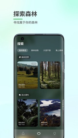 森林白噪音截图2