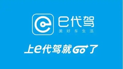 驾驶违章帮手截图1