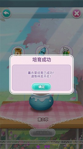 鲜花小镇[图4]