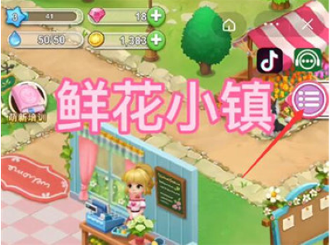 鲜花小镇[图5]