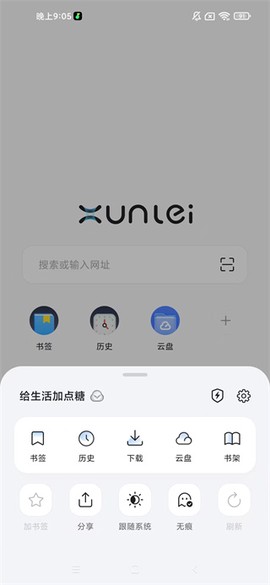 迅雷浏览器纯净版[图8]