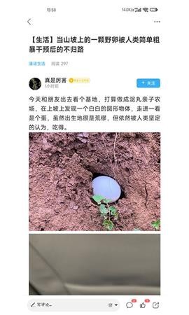 潼南论坛截图1