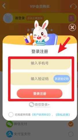 兔小贝儿歌[图4]