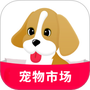 宠物市场