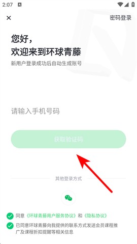 环球青藤[图3]