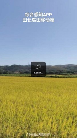 田长巡[图1]