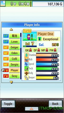 冠军足球物语2[图1]