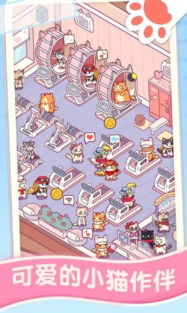 猫咪健身房截图3