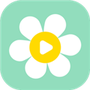 雏菊影视