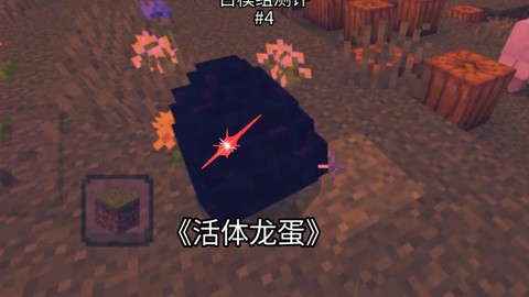 我的世界龙蛋怎么拿走