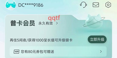 东呈青猫会[图4]