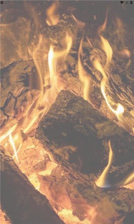 卫星遥感林火监测平台[图1]