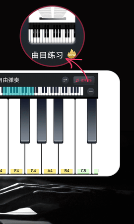 钢琴模拟器截图2