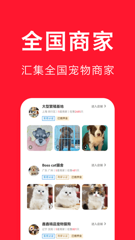 宠物宝截图2