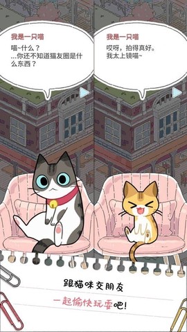 猫友圈[图1]