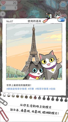 猫友圈截图2