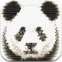 色盲色弱检测助手