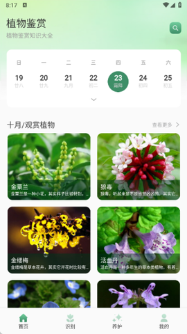 猫满花语截图1