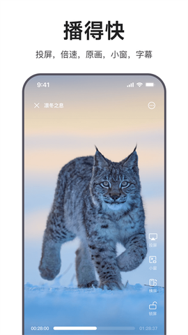 迅雷浏览器截图2