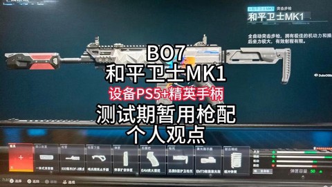 使命召唤战区怎么搭配